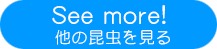 アートスタジオのリンクです